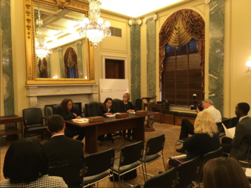 Linda Bilmes testifying